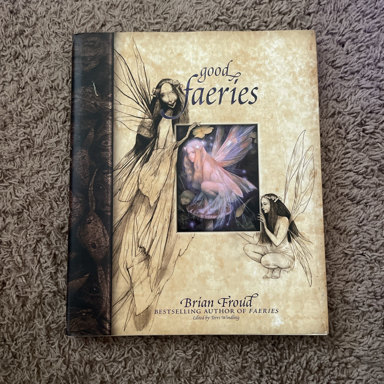 Vintage 1998 Good Faeries Bad Faeries, Brian Froud, Simon & Schuster Hardcover