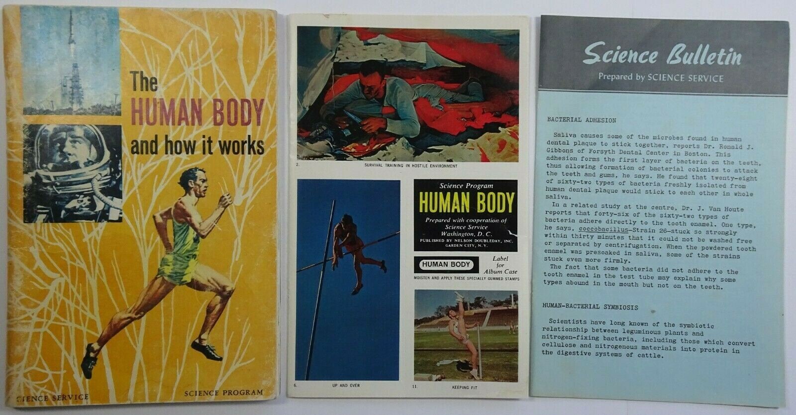 The Human Body and how it works Science Program Paperback Life Expectancy 1971