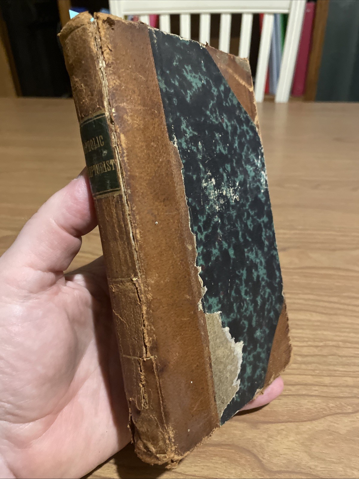 The Catholic Scripturist; or, The Plea of the Roman Catholics; Baltimore 1809