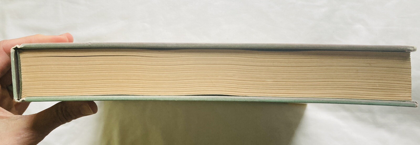 Helen Frankenthaler – text by Barbara Rose *green cover*