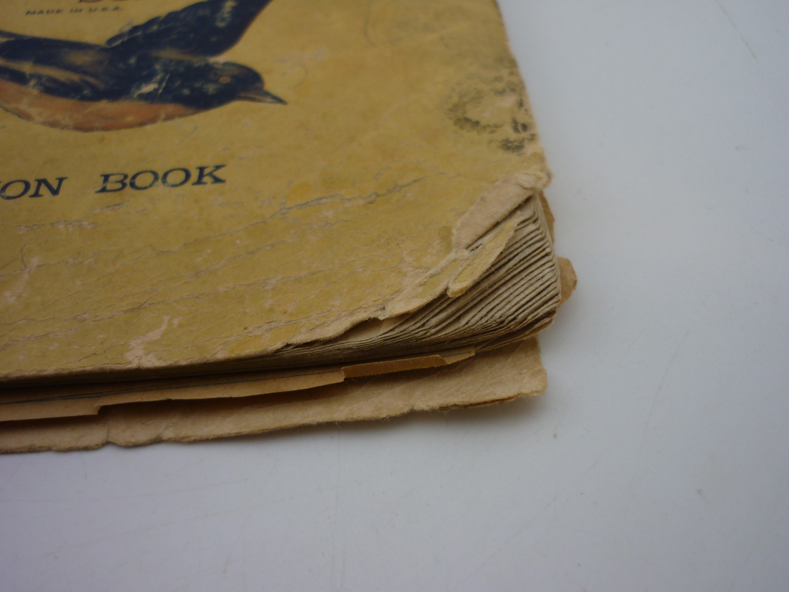 1927 Blue Bird School Series Composition Book Handwritten Student Notebook