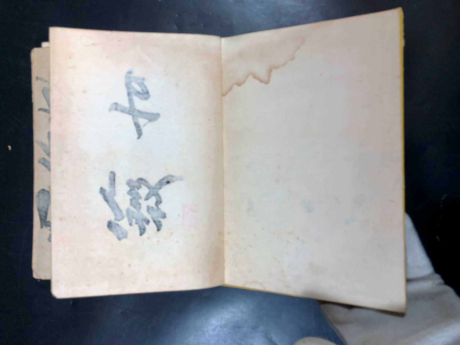 1893 Kosei Chyosho No. 1 ~ Japanese Woodblock Multicolor Printing Japan