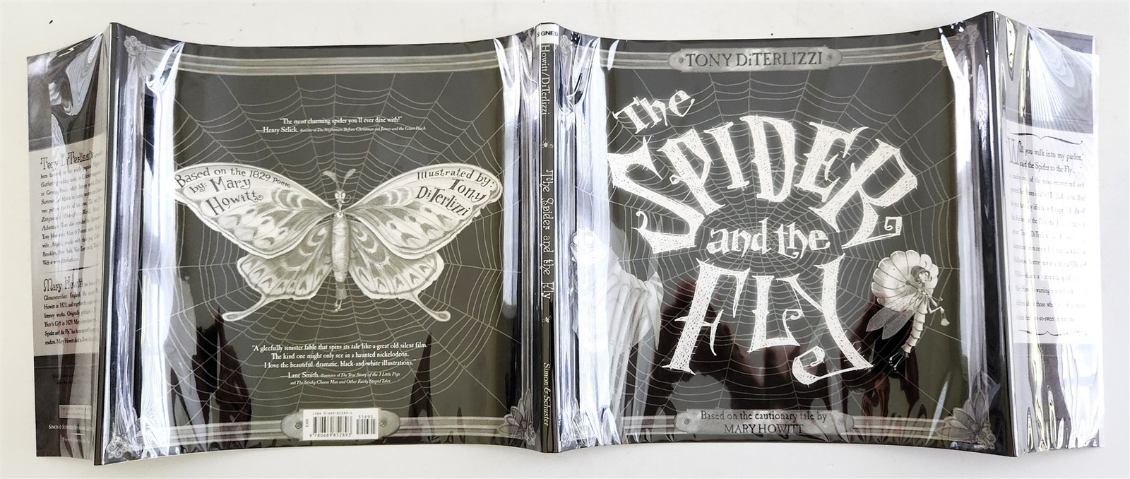 2002 signed by author THE SPIDER & FLY tony diterlizzi 1st Ed print dustjacket