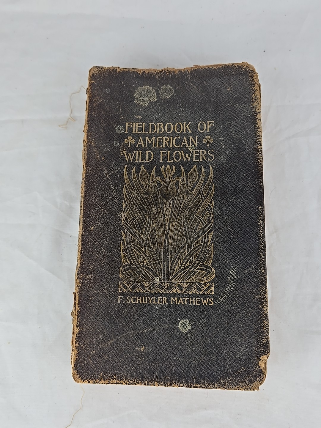 1902 Field Book Of American Flowers F Schuyler Mathews 1904 Printing