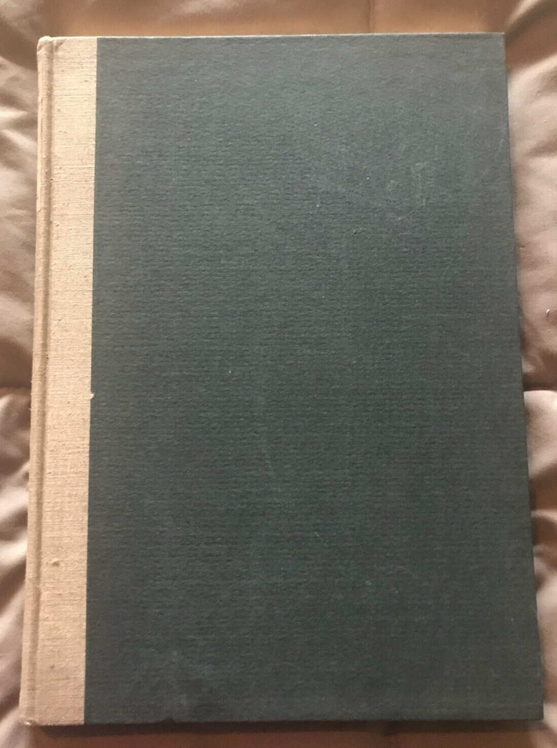 FABULOUS Landscape Art Past and Present- Harriet Hammond McCormick  1923 VG