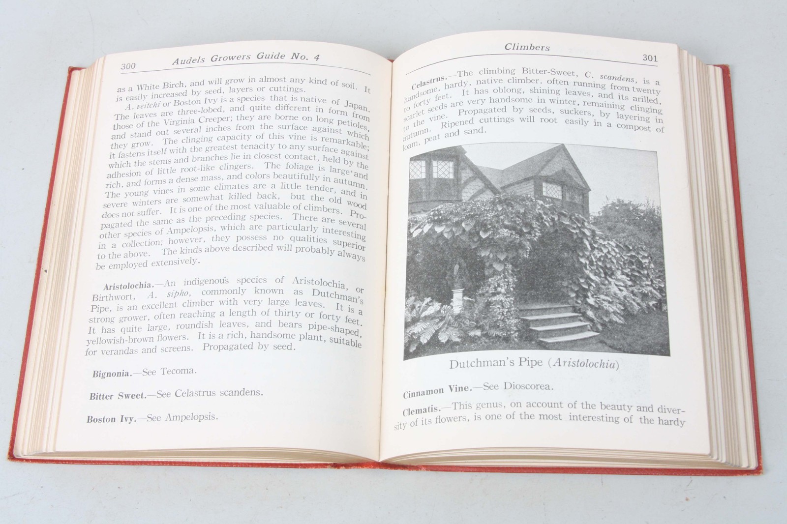 AUDELS GARDENERS & GROWERS GUIDE VOL 4 by Edward C. Vick 1928 antique book