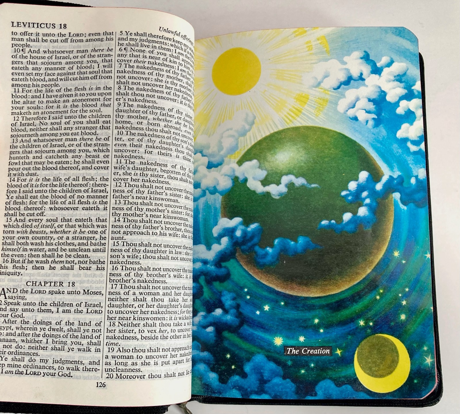 Vintage Illustrated Red Letter Edition Bible 1985 Leather Cover KJ Young Folks