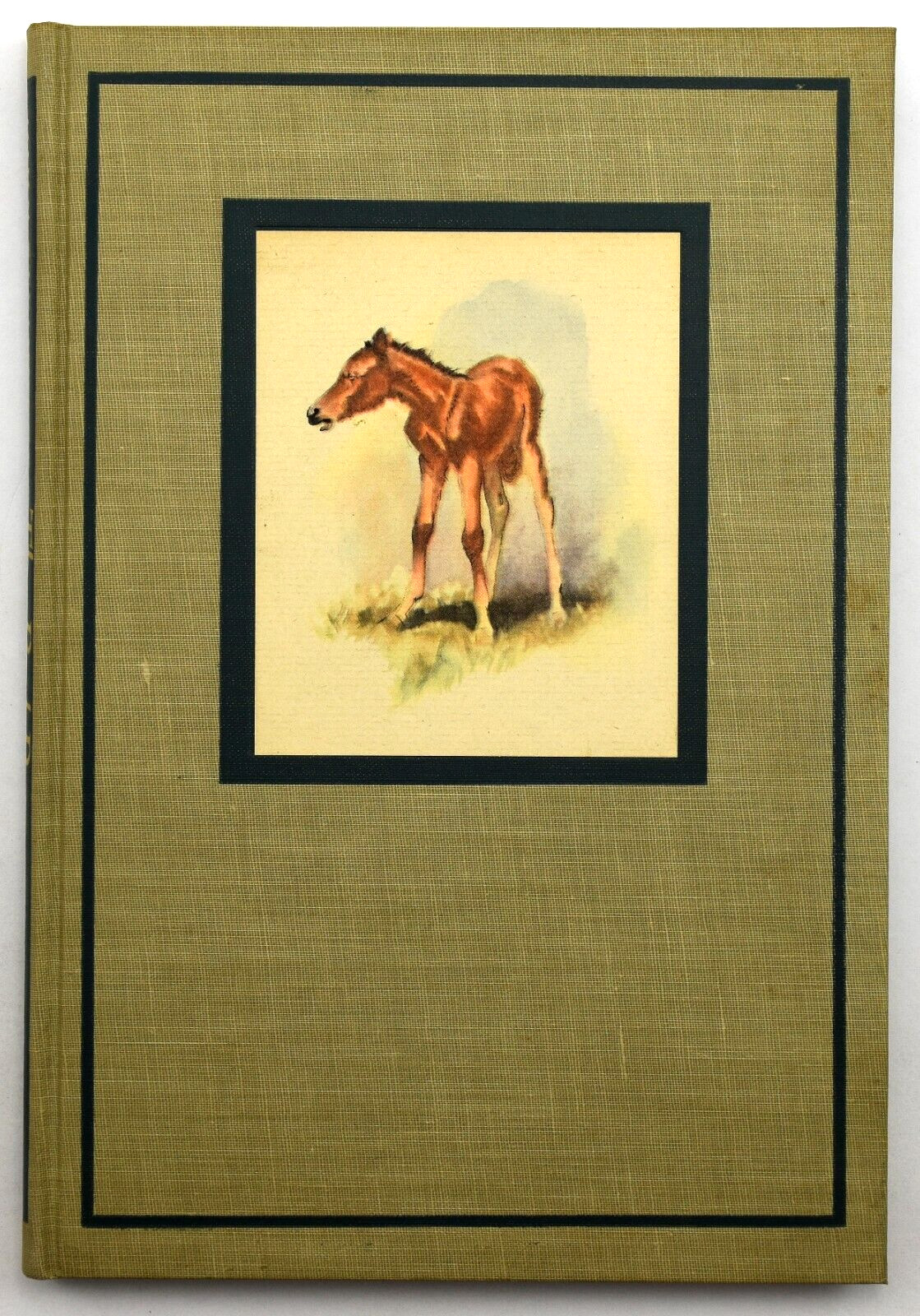 The Red Pony By John Steinbeck – 1945 1st Illustrated Hardcover HC Viking Press