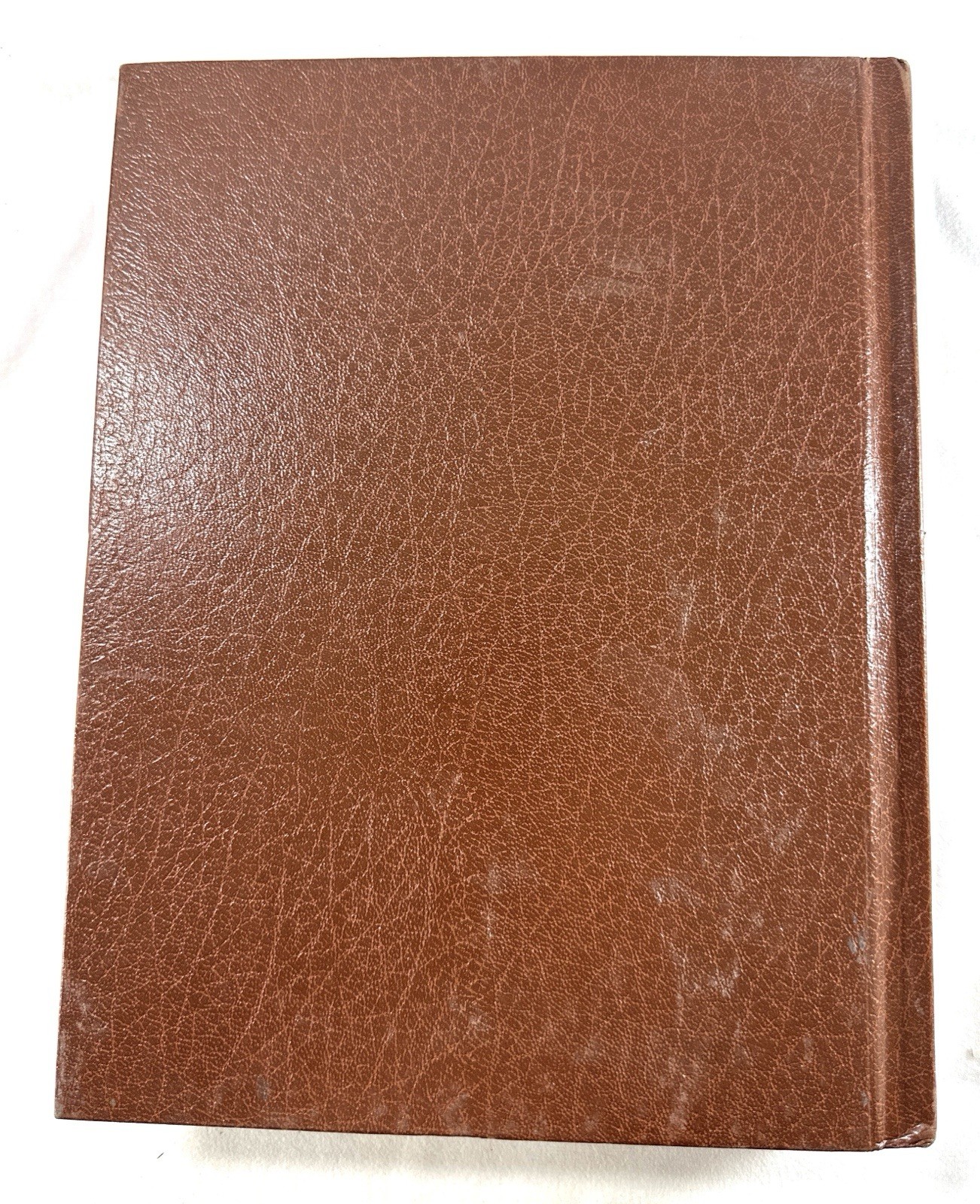 These Were God’s People A Bible History William C Martin 1966 Hardcover 506p