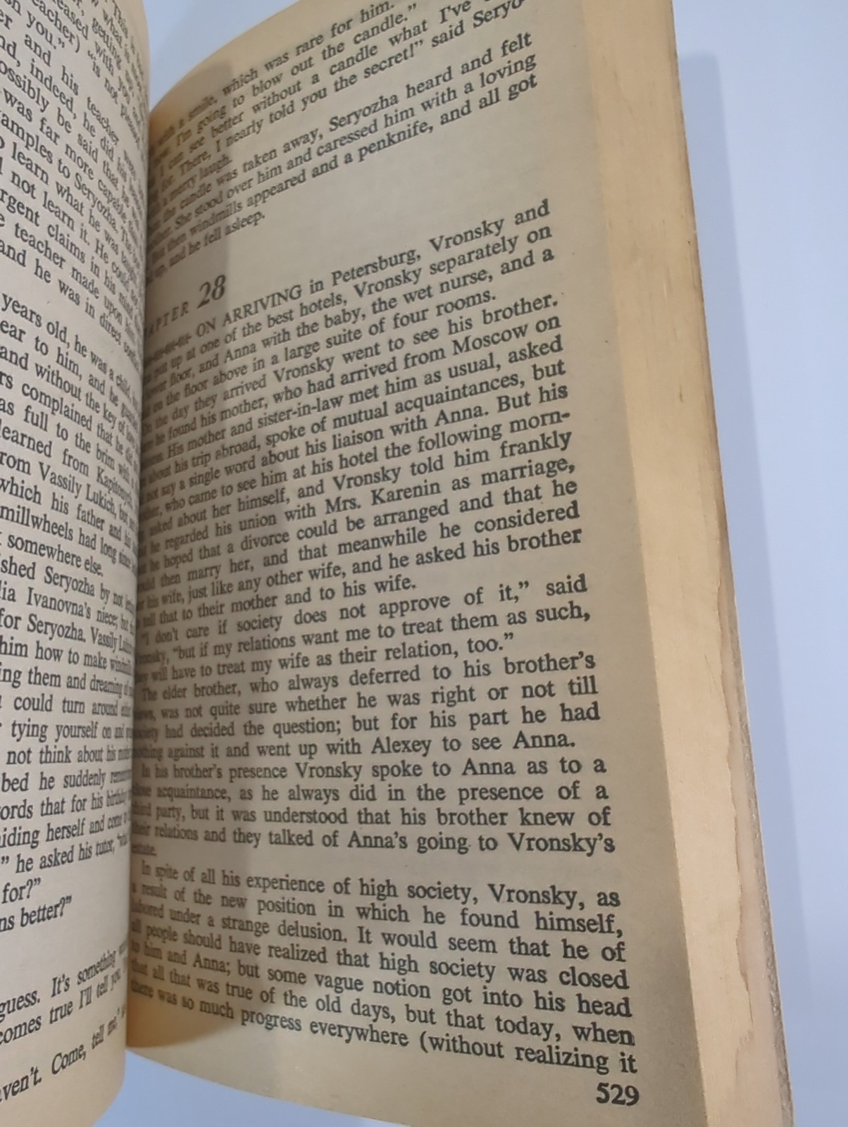 ANNA KARENINA by Leo Tolstoy ~ Vintage 1980 Signet Classic Paperback Book Vtg