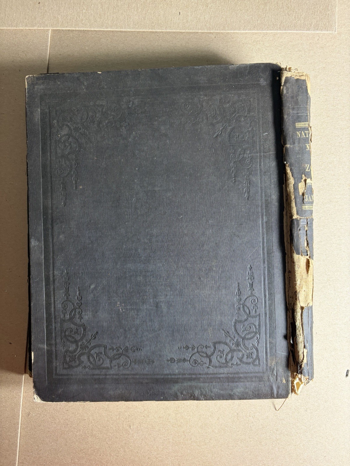 NATURAL HISTORY Of NEW YORK- ZOOLOGY by James De Kay 1843- Prints Removed