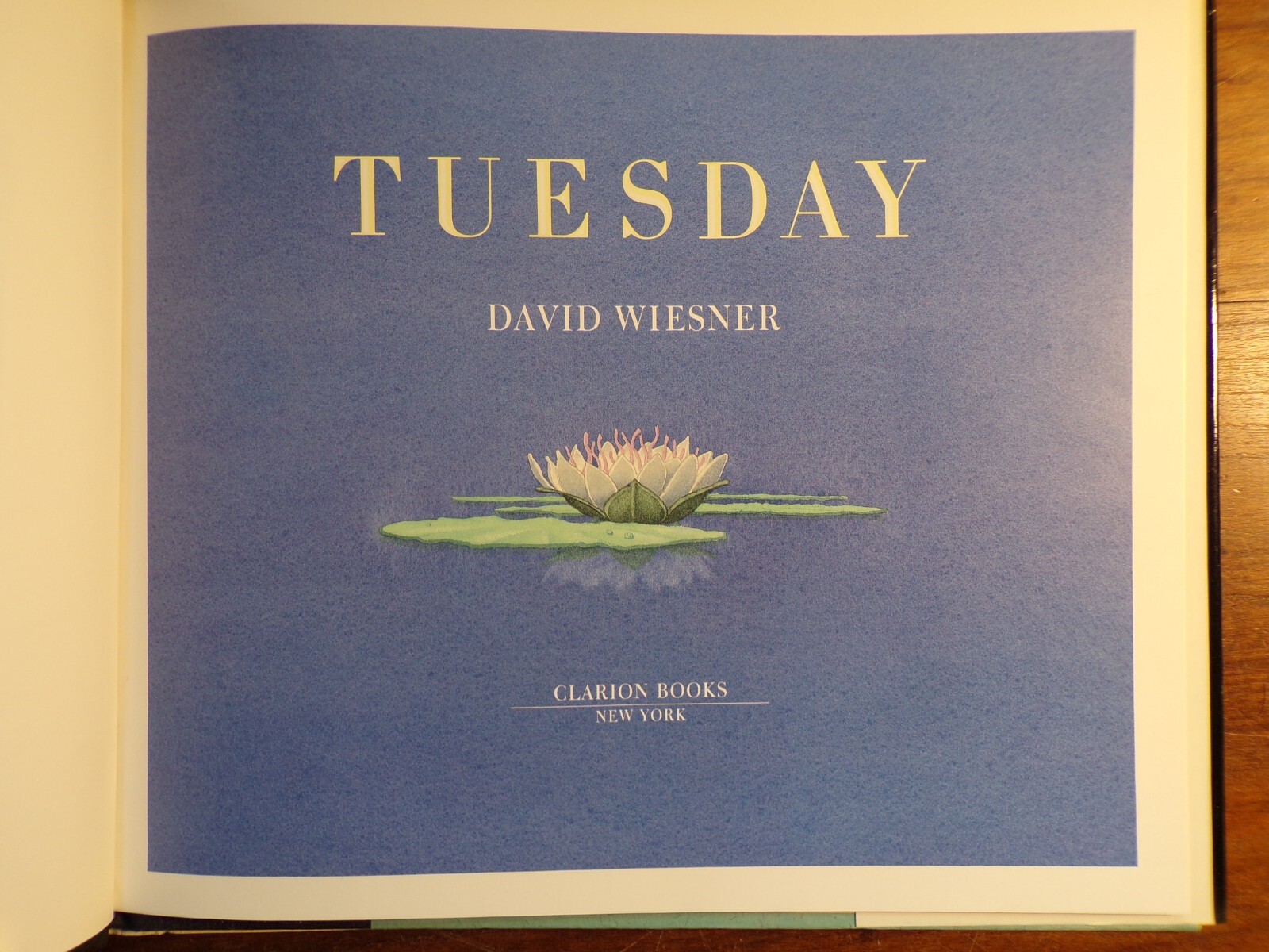 David Weisner ~ Tuesday ~ Signed ~ 1st/6th ~ HC/DJ ~ 1991 ~ Clarion Books