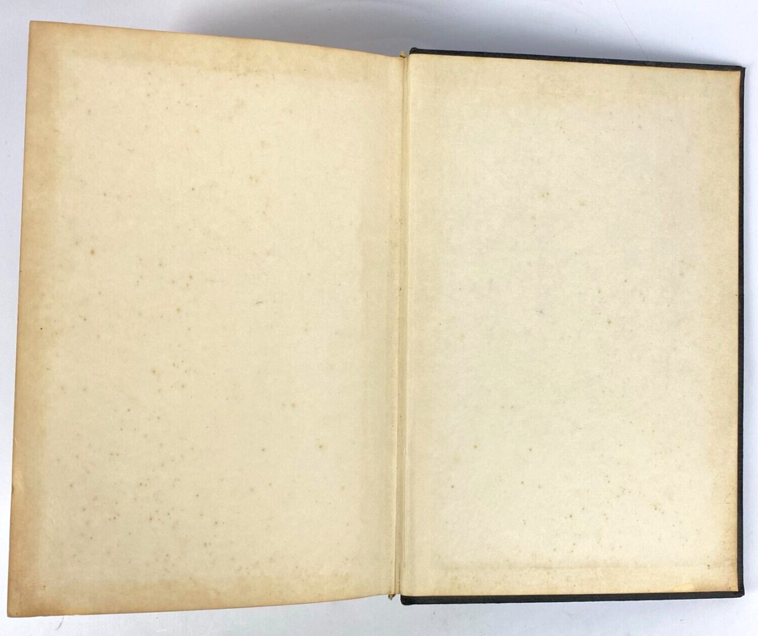 Dr. Martin Luthers German Bible Die Bibel Heilige Schrift Vintage