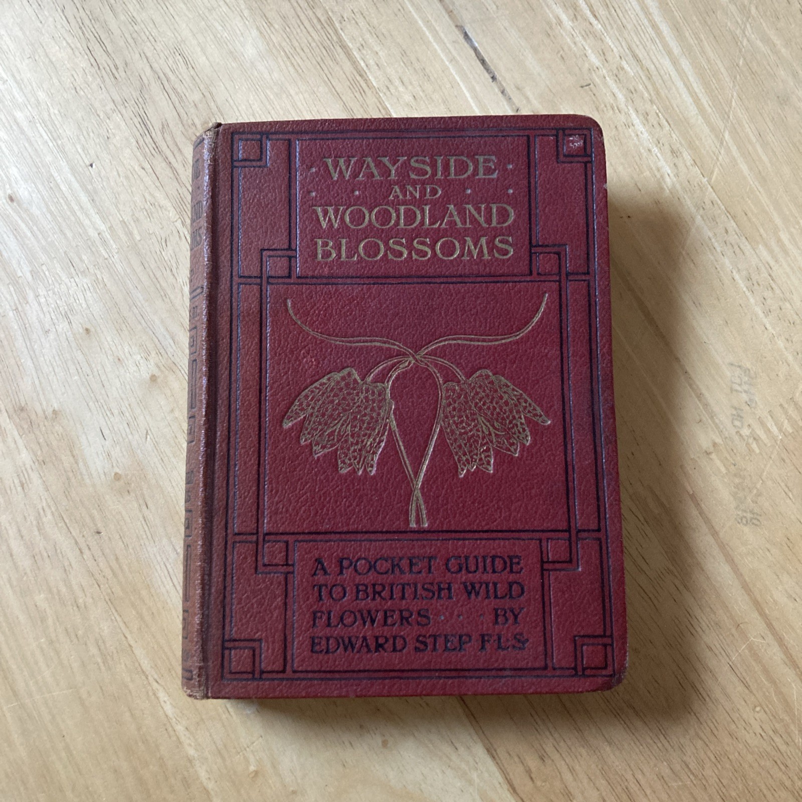Wayside & Woodland Blossoms – 127 colour plates – Edward Step 1920s Hardback
