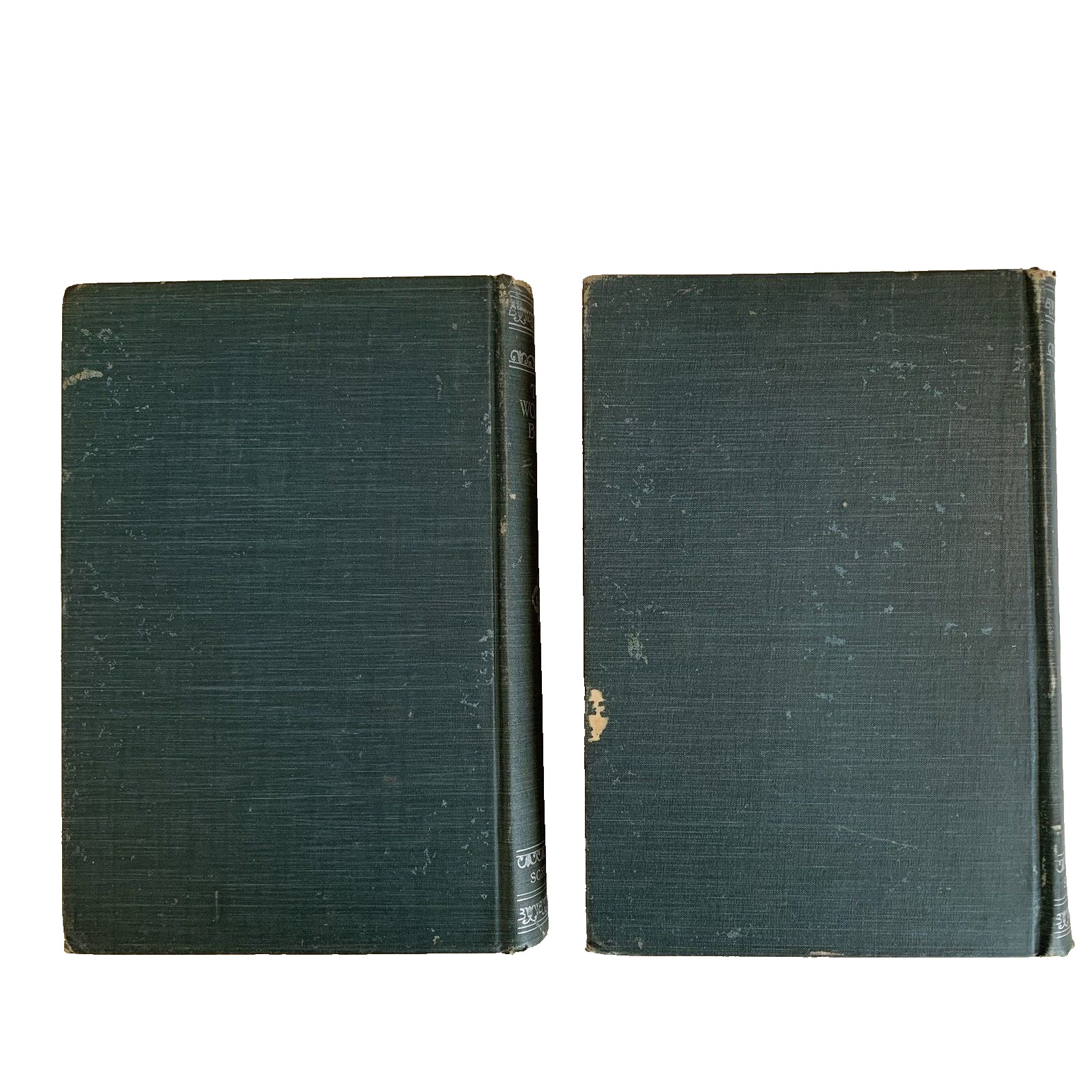 The Woman’s Book Advice Instruction Volumes 1 and 2 Scribners 1894 Americana