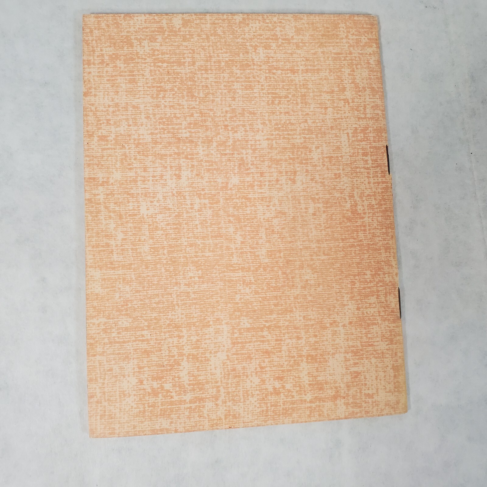 The Church Using the Newspaper – Stapled Booklet by Erwin L. McDonald