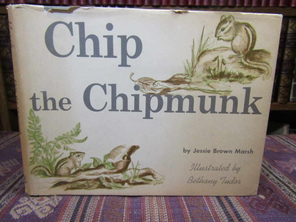 1962 Marsh CHIP THE CHIPMUNK Rare SIGNED 1st Ed. HC/DJ Illustrated Bethany Tudor