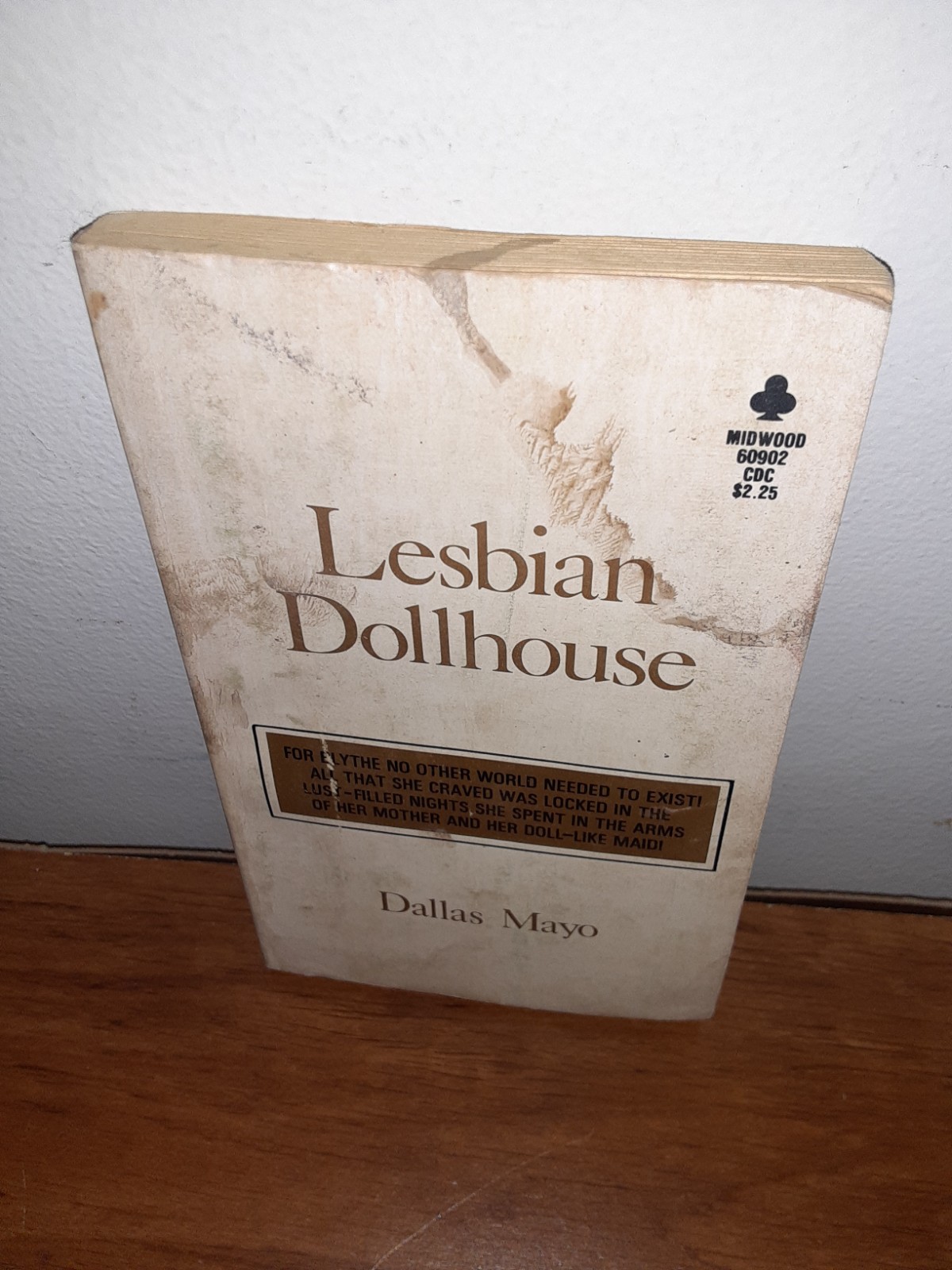 LESBIAN DOLLHOUSE by Dallas Mayo 1977 Midwood Book PB Paperback