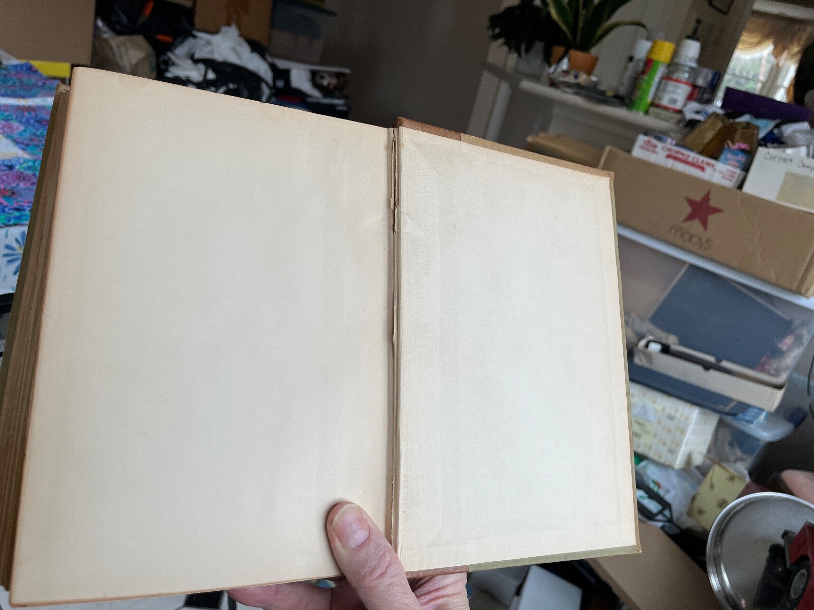 1895 book The Alps From End to End William Martin Conway hiking mountain climb