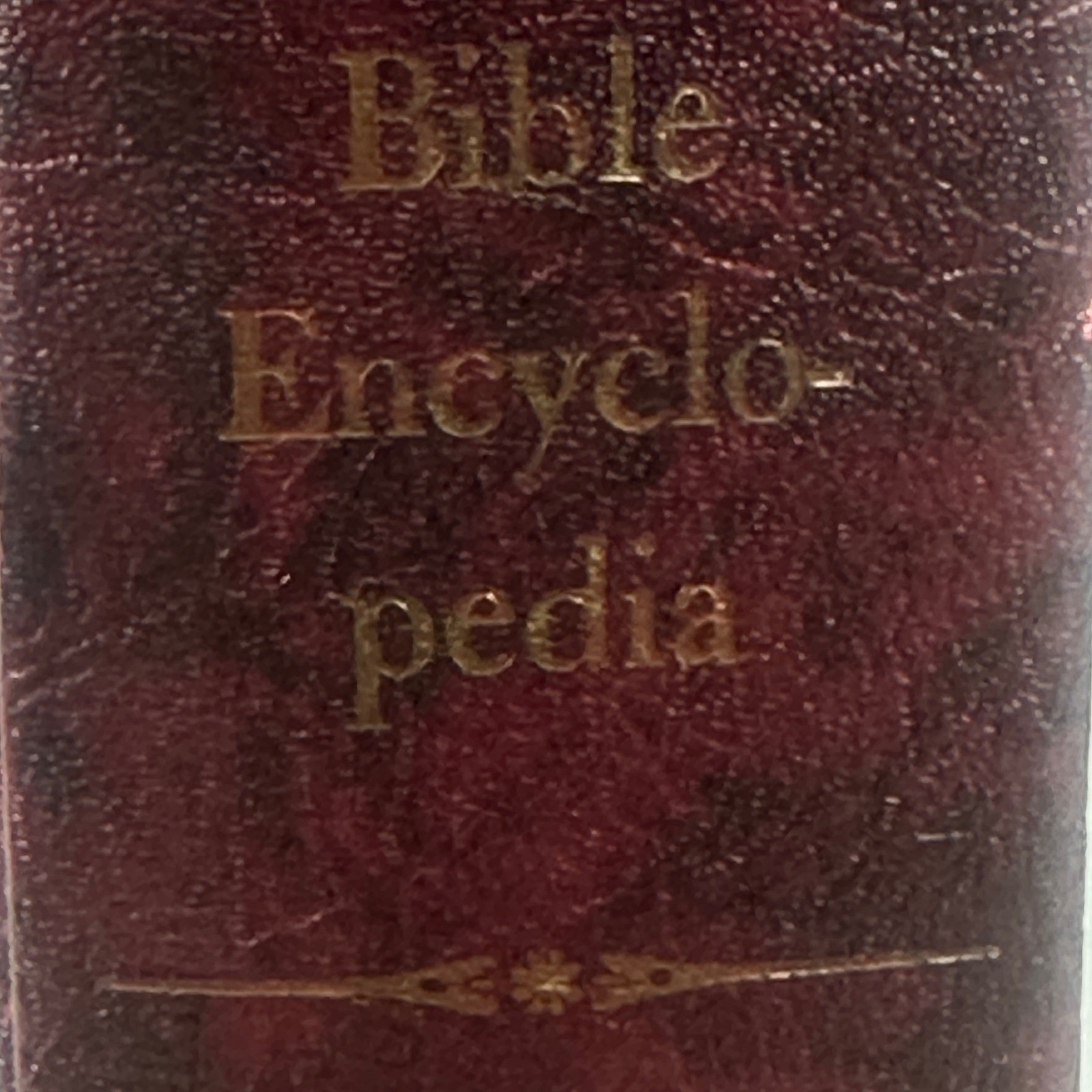 VTG The Layman’s Bible Encyclopedia William C Martin HC Southwestern Company