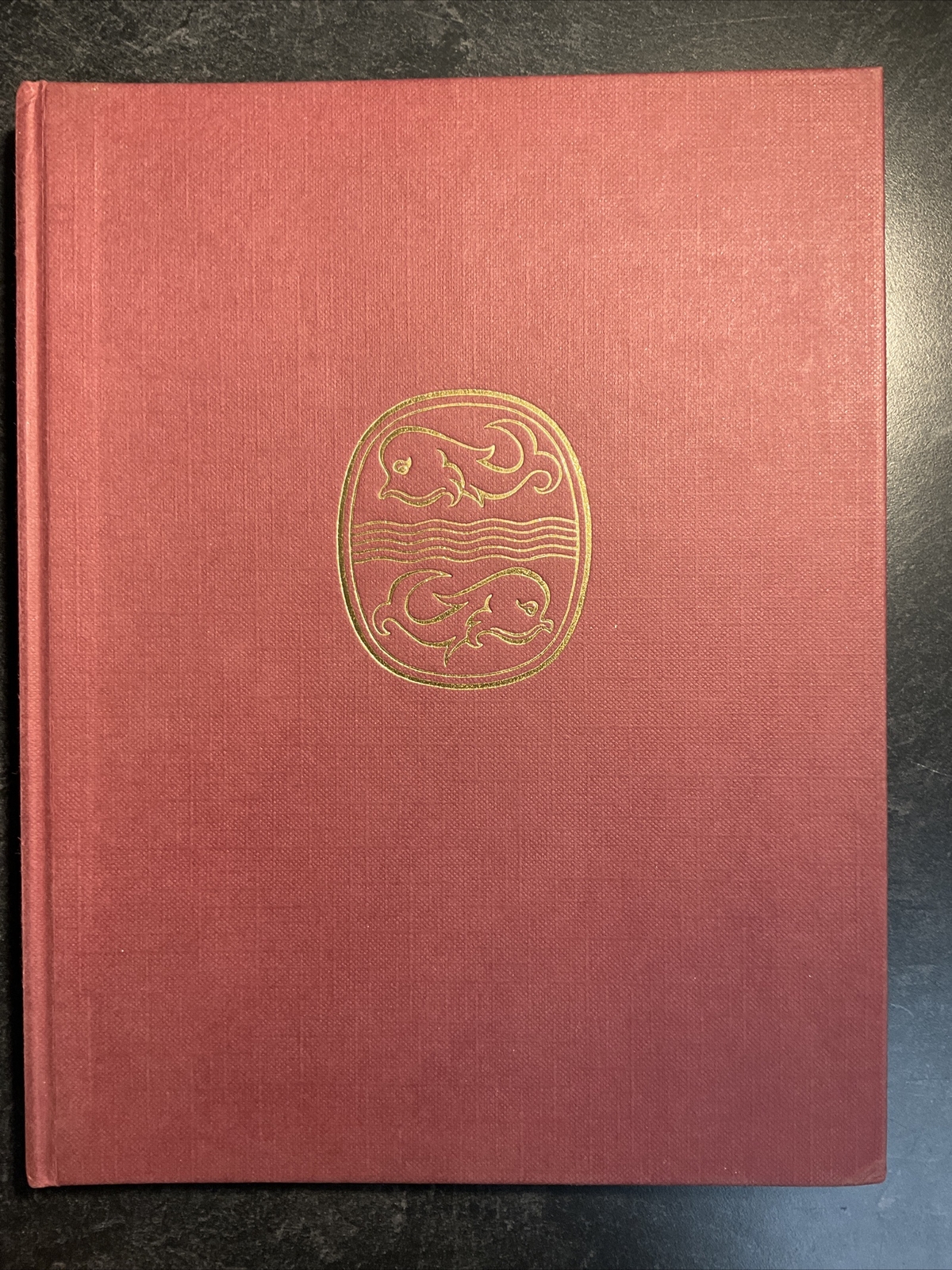Victorian Life In Photographs Thames And Hudson Missing Dust Jacket