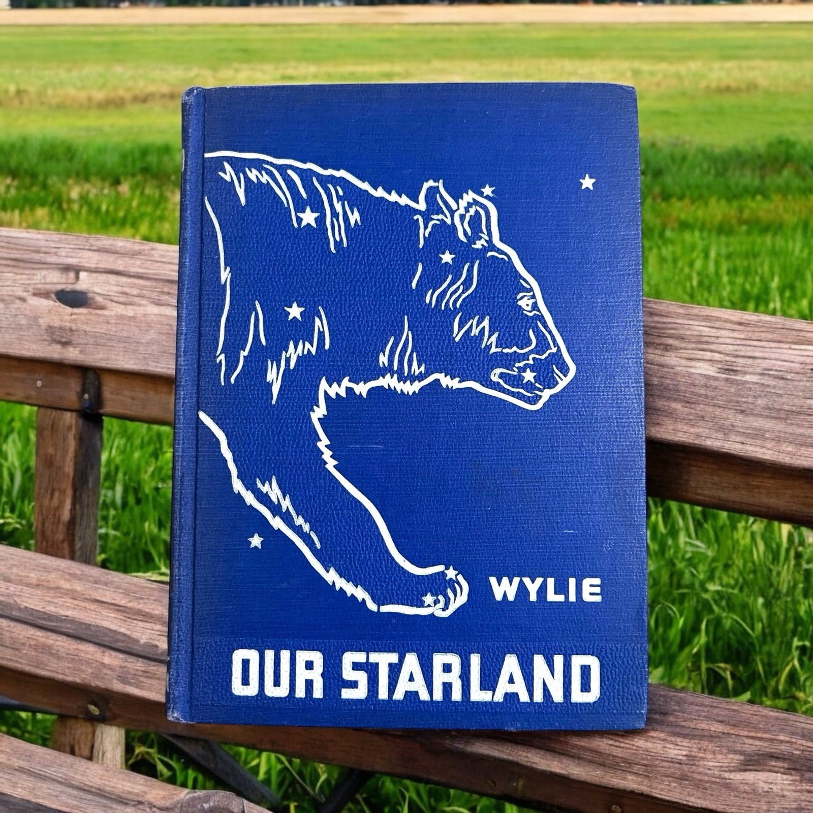 1942 OUR STARLAND by C.C. Wylie Astronomy Star Guide Lyons & Carnahan Vintage HC