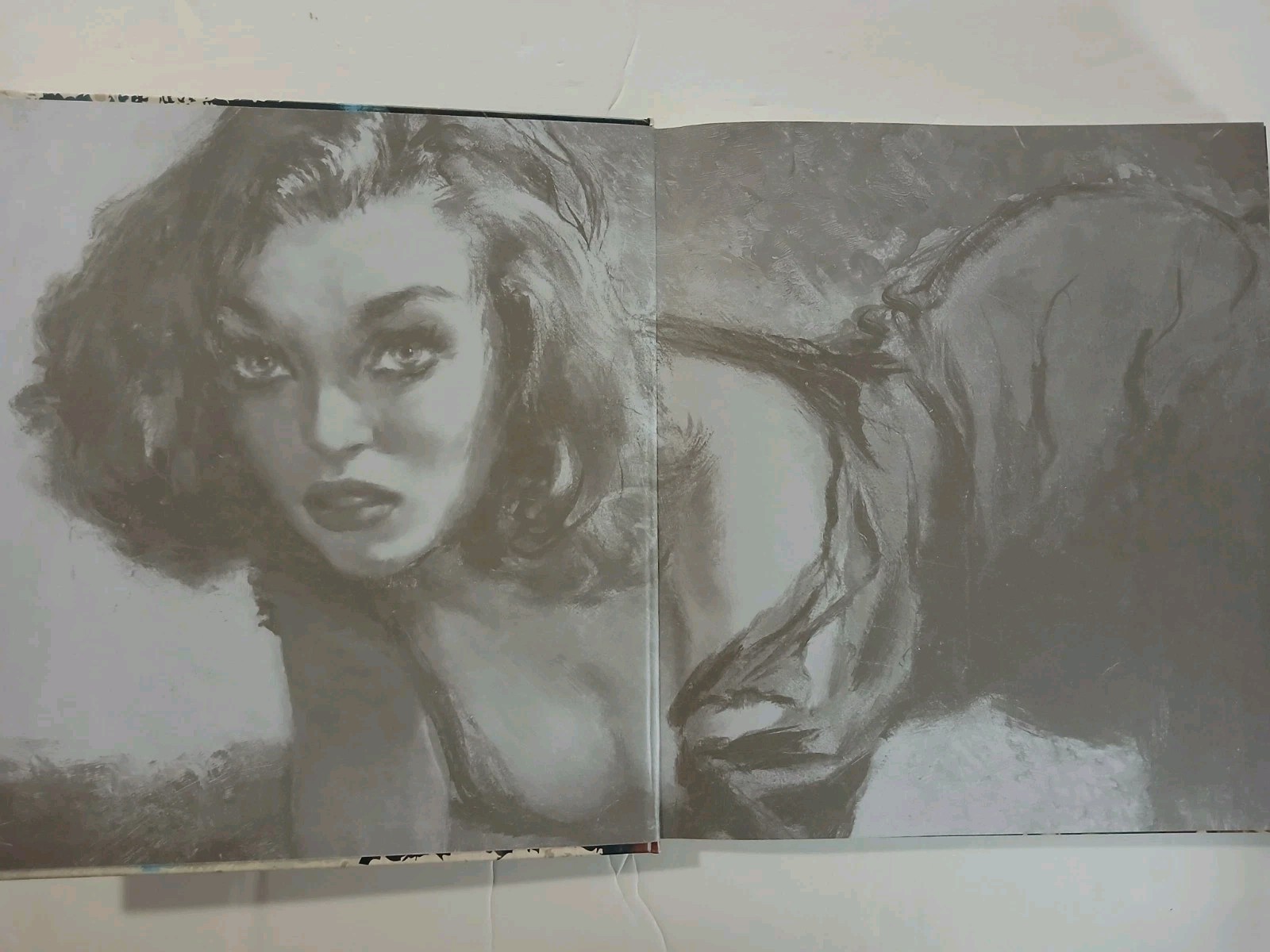 THE ART OF PULP Fiction.An Illustrated History of Vintage Paperbacks New H Cover