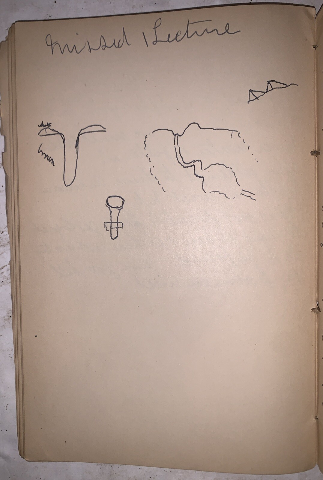 1880’s, ILLUSTRATED MANUSCRIPT NOTEBOOK, NATURAL HISTORY, LOUIS KRUMBHAAR