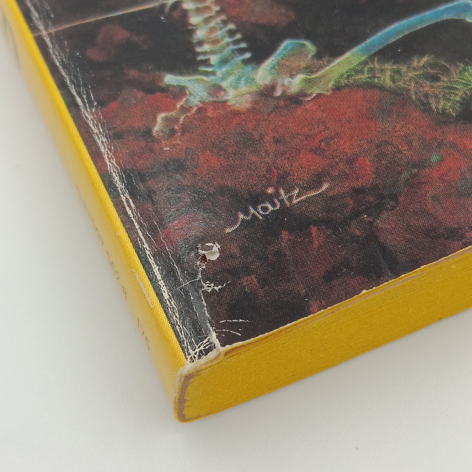 Kill The Dead PB Tanith Lee Daw Books 1980 Horror Fantasy 1st Print Good Cond