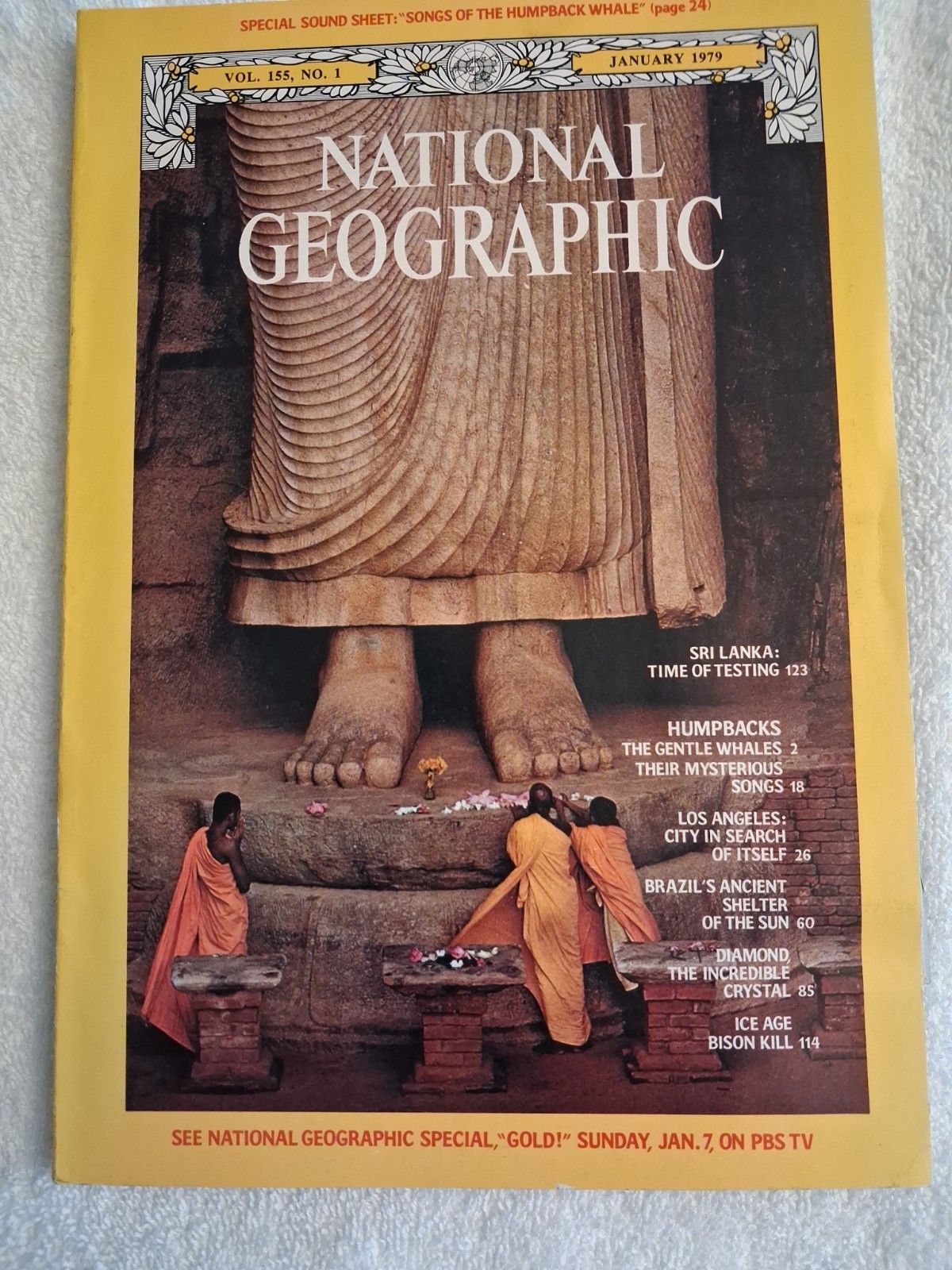 National Geographic January 1979 Sri Lanka Brazil Humpback Whale With Record