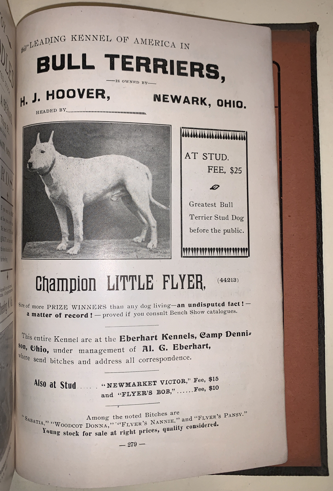 1902, EVERYTHING ABOUT DOGS, EBERHART, CANINE, DOG CARE