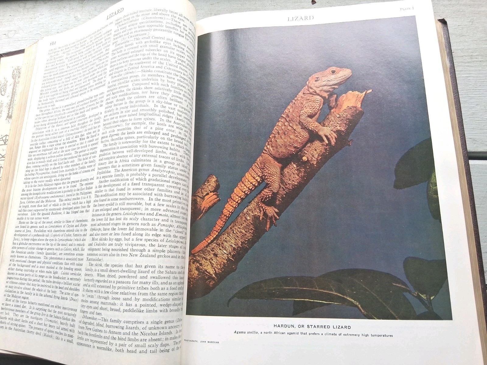 Encyclopedia Britannica 1768 Volume 14 Vintage 1970 Replacement