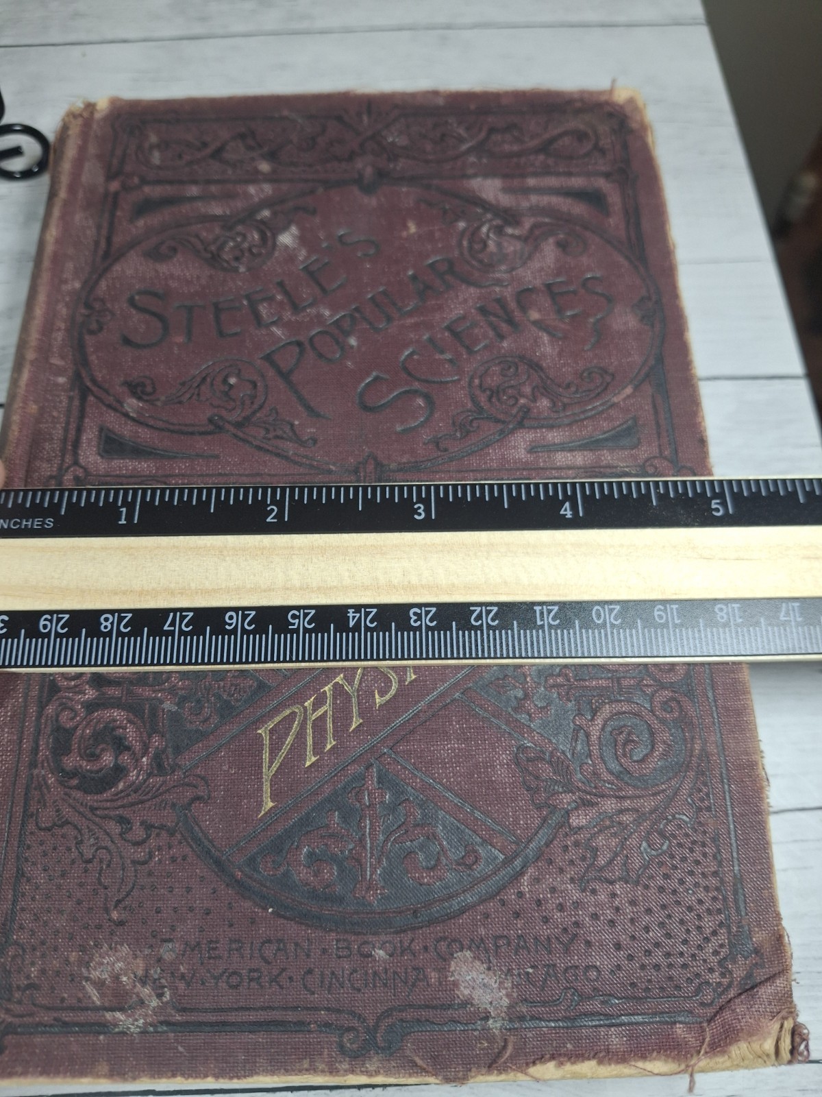 Steele’s Popular Sciences Physics J Dorman Steele 1896 American Book Co. HC