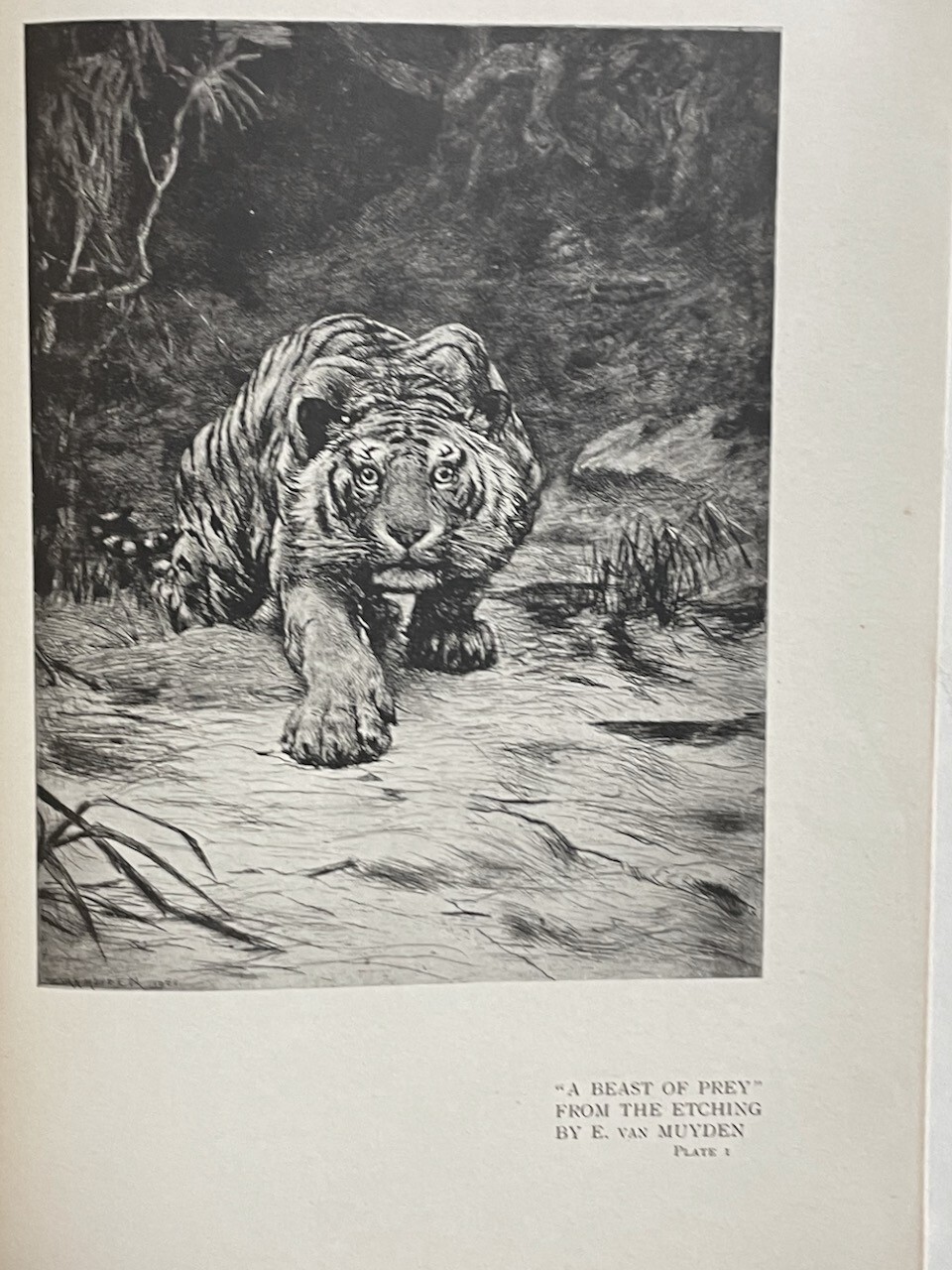 Modern Etching & Engraving / Charles Holme / The Studio 1902 ex-lib