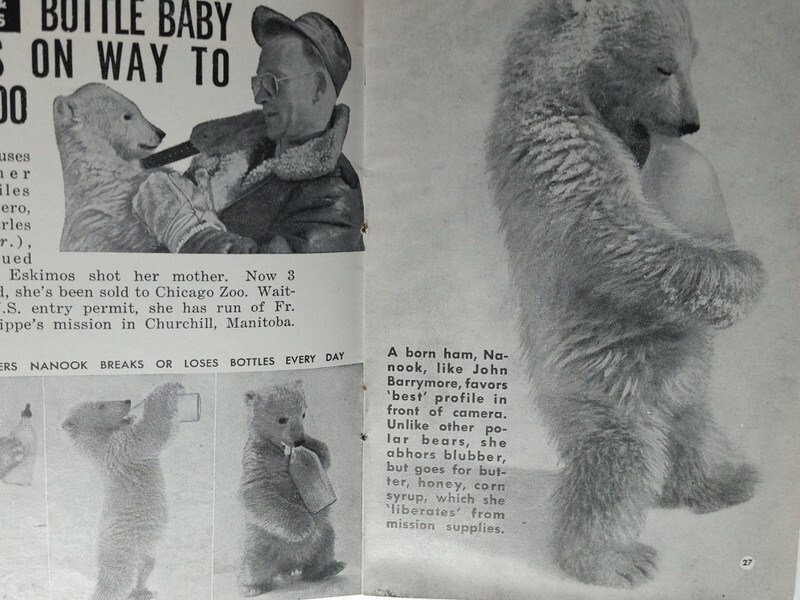 July 4, 1951 People Today Magazine Is Ike Laying an Egg? Cold War Cover