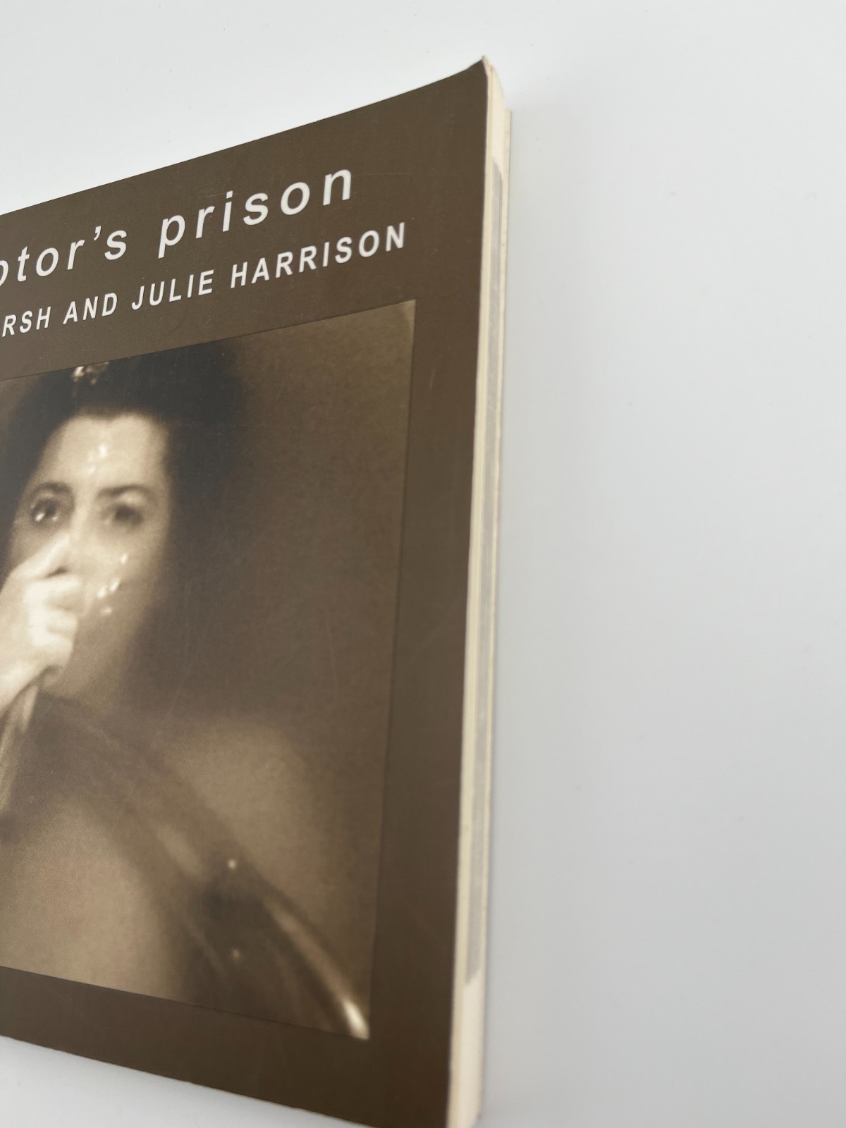 LEWIS WARSH ~ SIGNED ~ Debtor’s Prison, 1st Granary, Julie Harrison art poetry