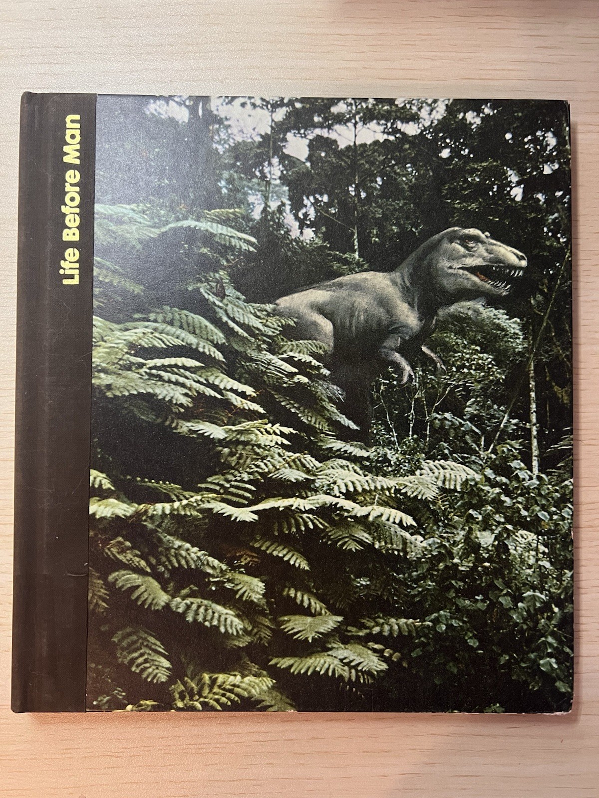 Emergence Of Man Life Before Man Vintage 1972 Hardcover Book TIME LIFE