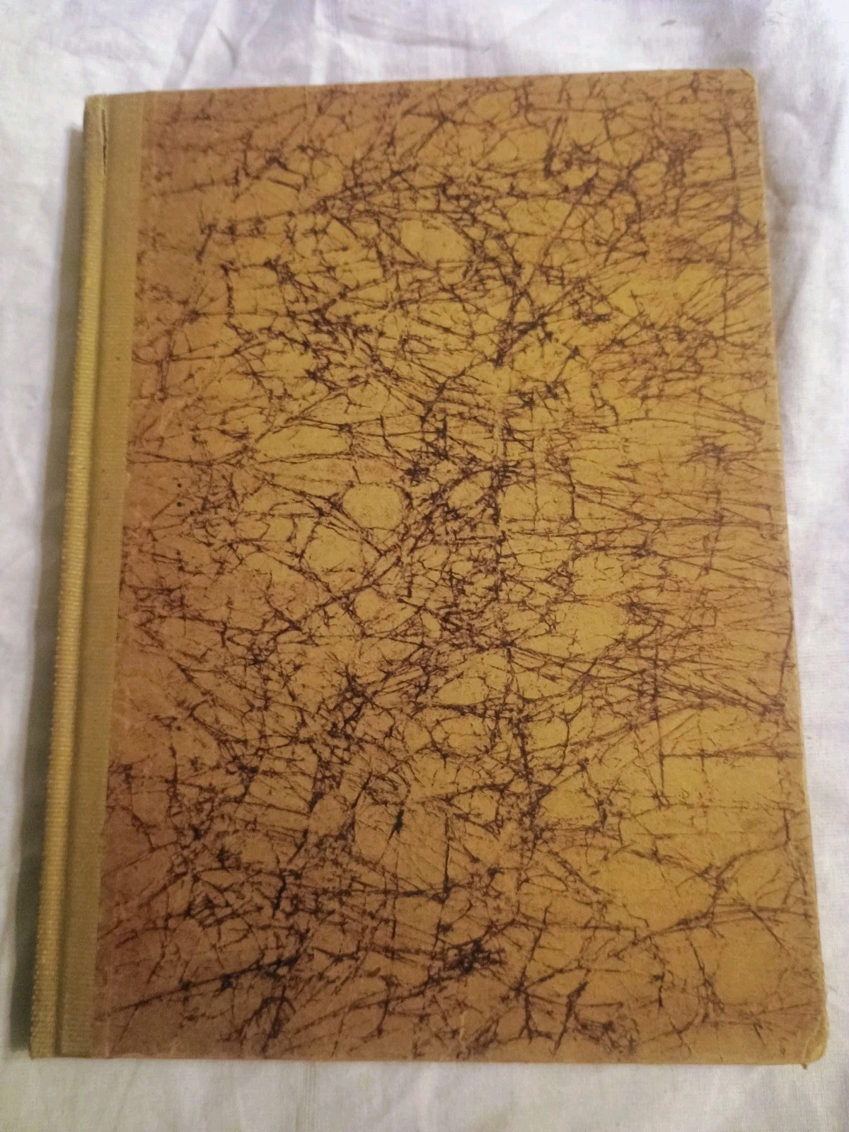 Lights and Shadows of Yosemite by Katherine Ames Taylor 1926 First Edition