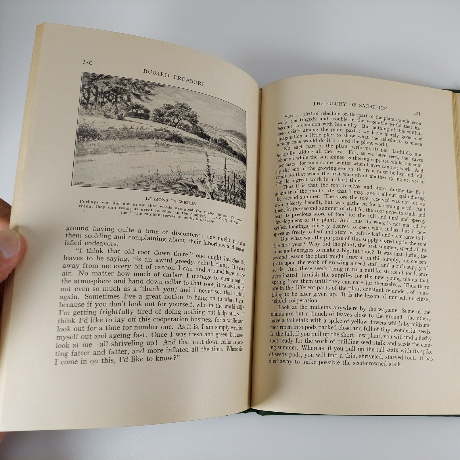 Lucas A. Reed Buried Treasure 1927 Pacific Press Publishing Association Illus HC