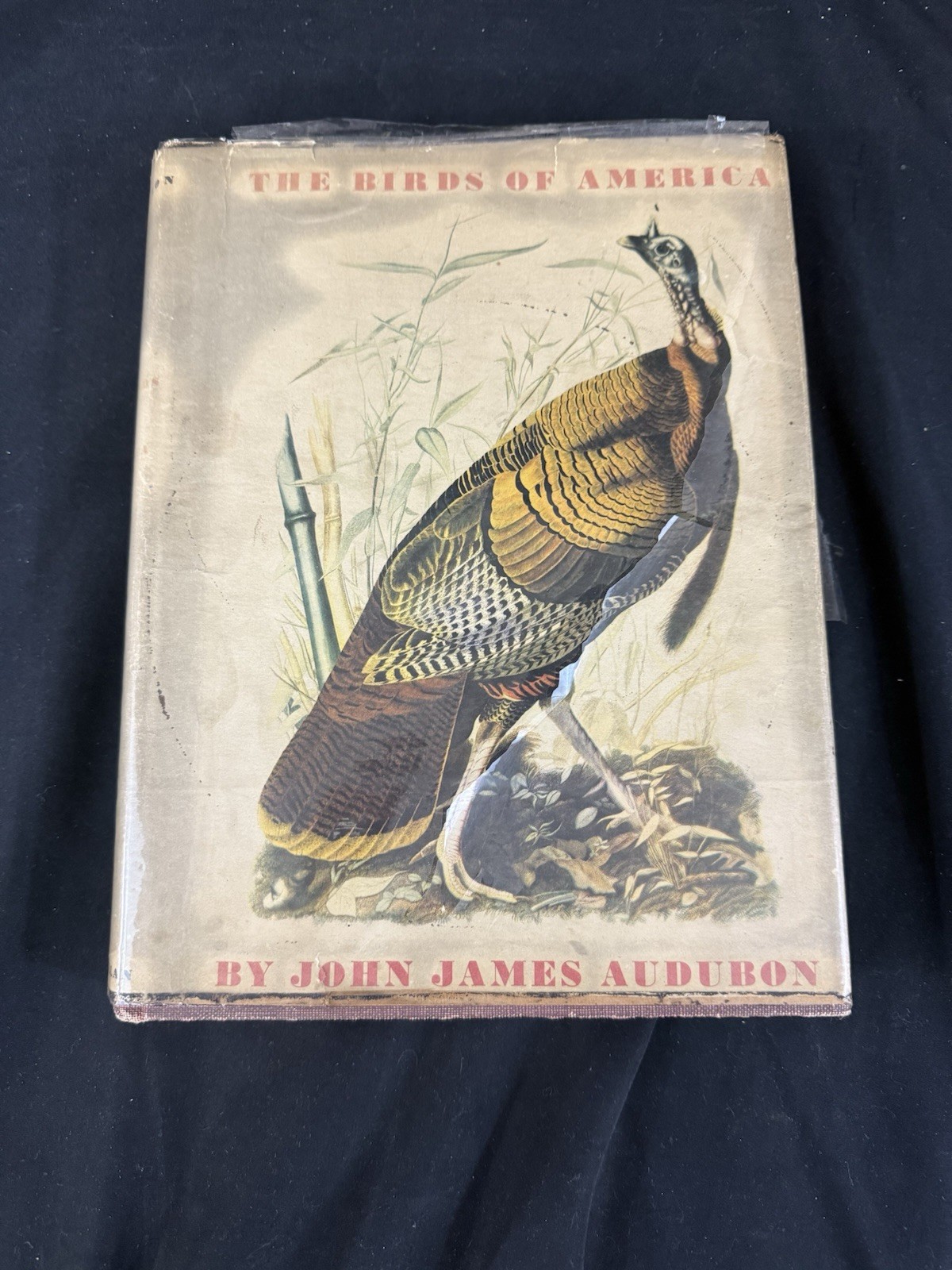 The Birds of America by John James Audubon Macmillan Company 1937 Hardback/DJ