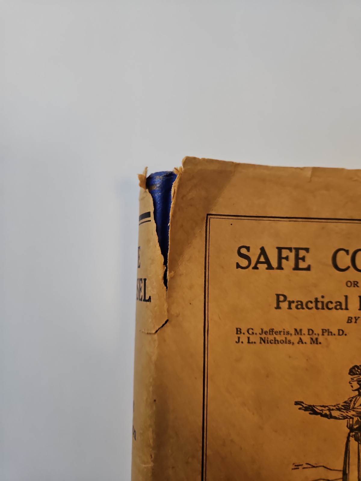 1934 „Safe Counsel“ or Practical Eugenics by Jefferis & Nichols – HC
