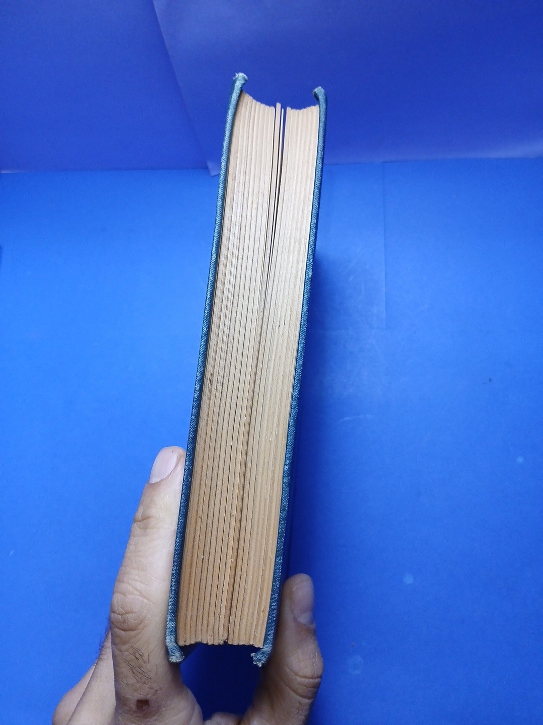 Vintage 1800’s Book Three Hundred Aesop’s Fables Illustrated Victorian Binding