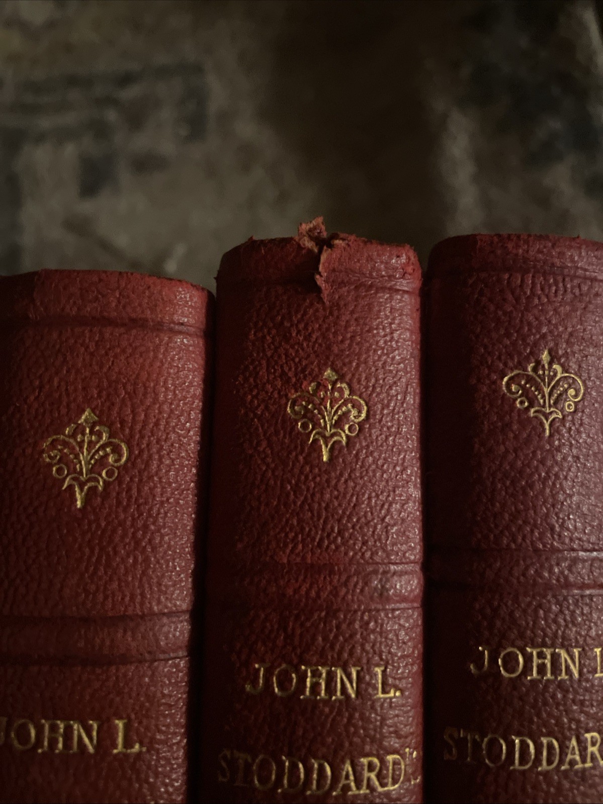 1898 JOHN L. STODDARD’S LECTURES Illustrated & Embellished Volumes (13 Books)