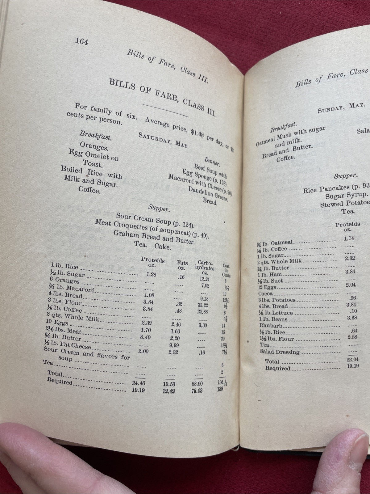 Practical Sanitary and Economic Cooking ABEL 1890 1st Ed Nutrition RARE ORIG
