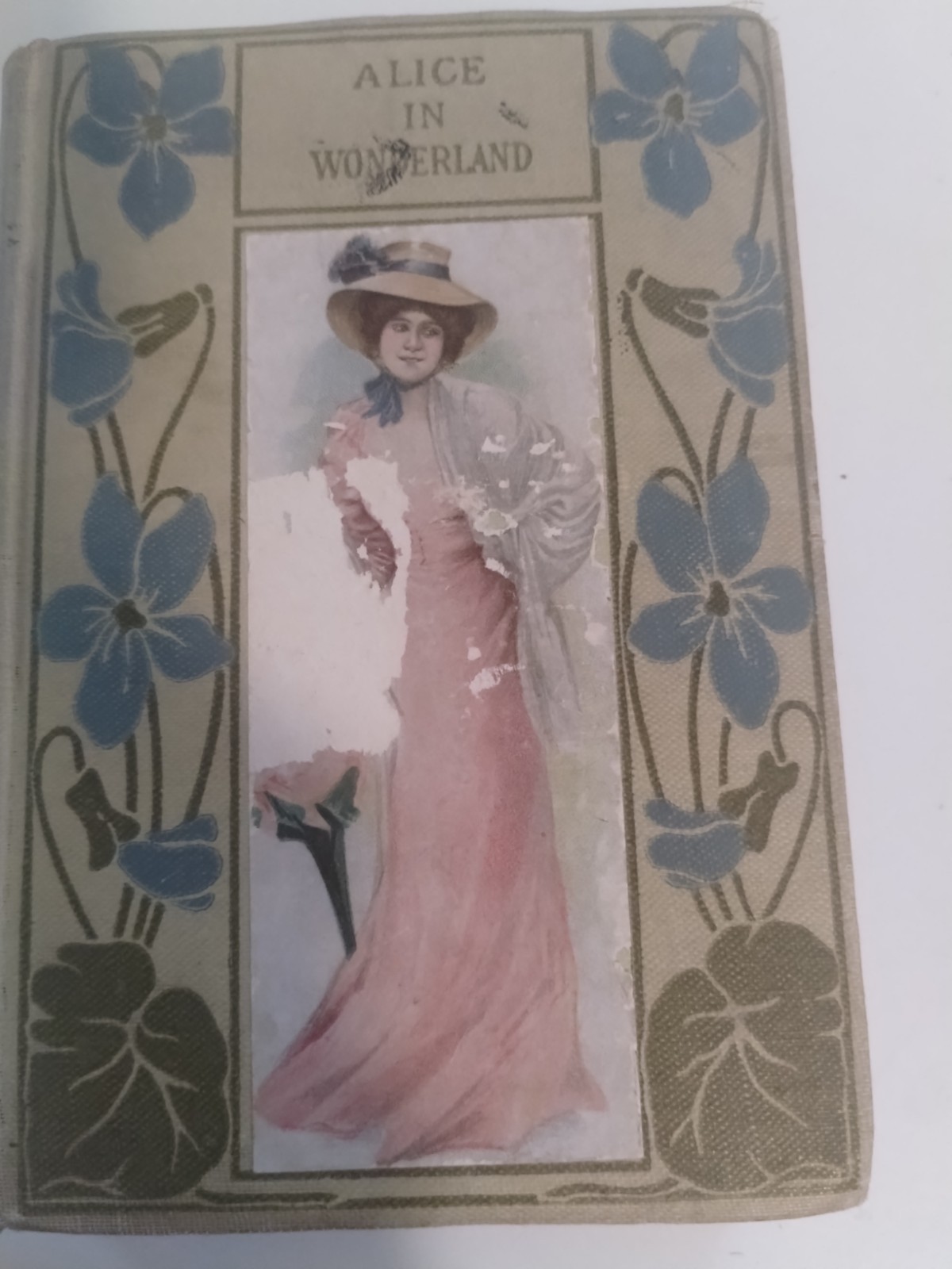 Rare Antique Alice in Wonderland Hurst & Co 1900 Floral Cover New Edition