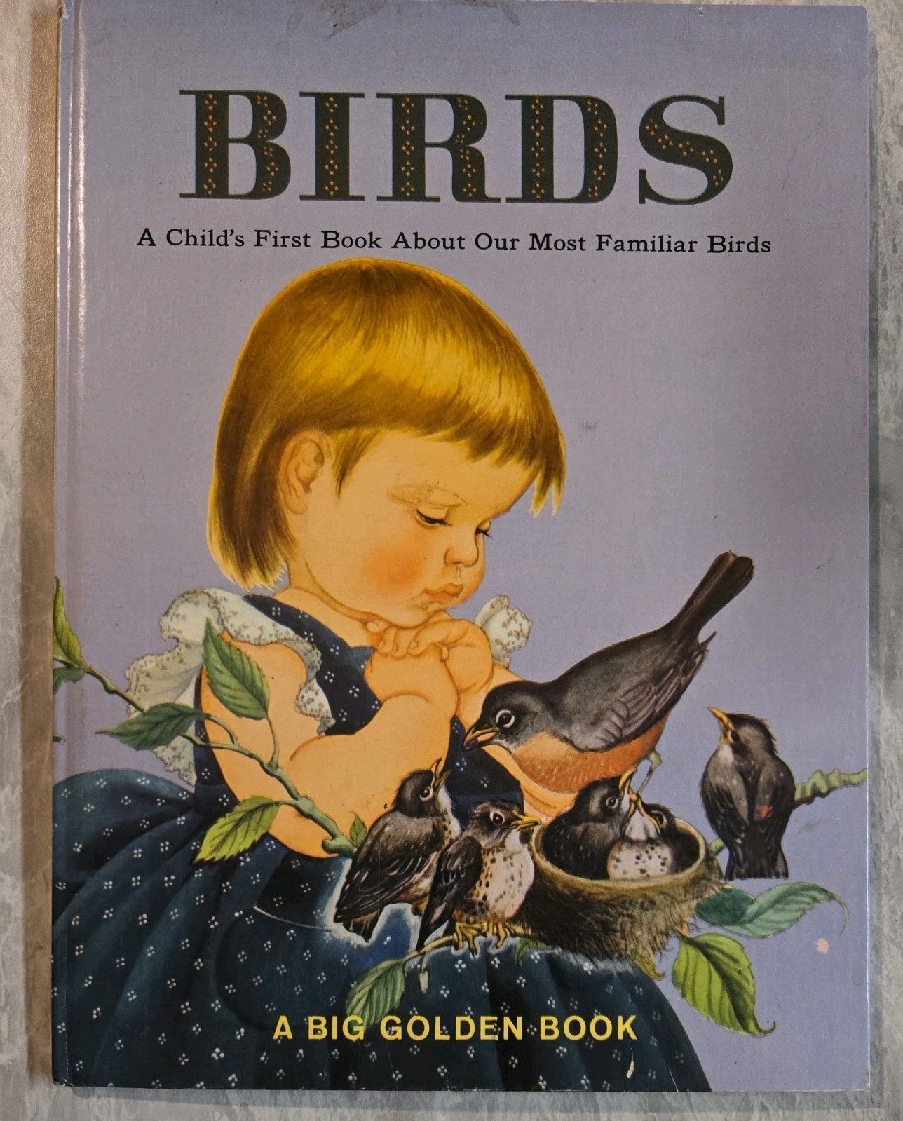 Children Vintage Birds: A BIG Golden Book 8th Printing 1971 Jane Werner Watson