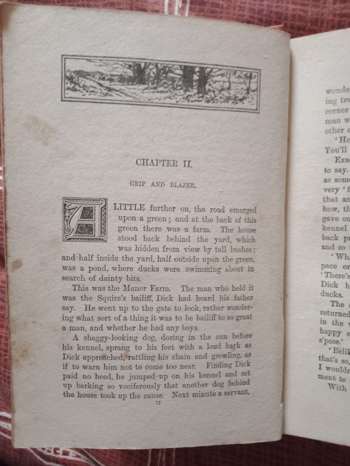 Farmer Bluff’s Dog Blazer Florence E. Burch Rare Antique Book circa 1900
