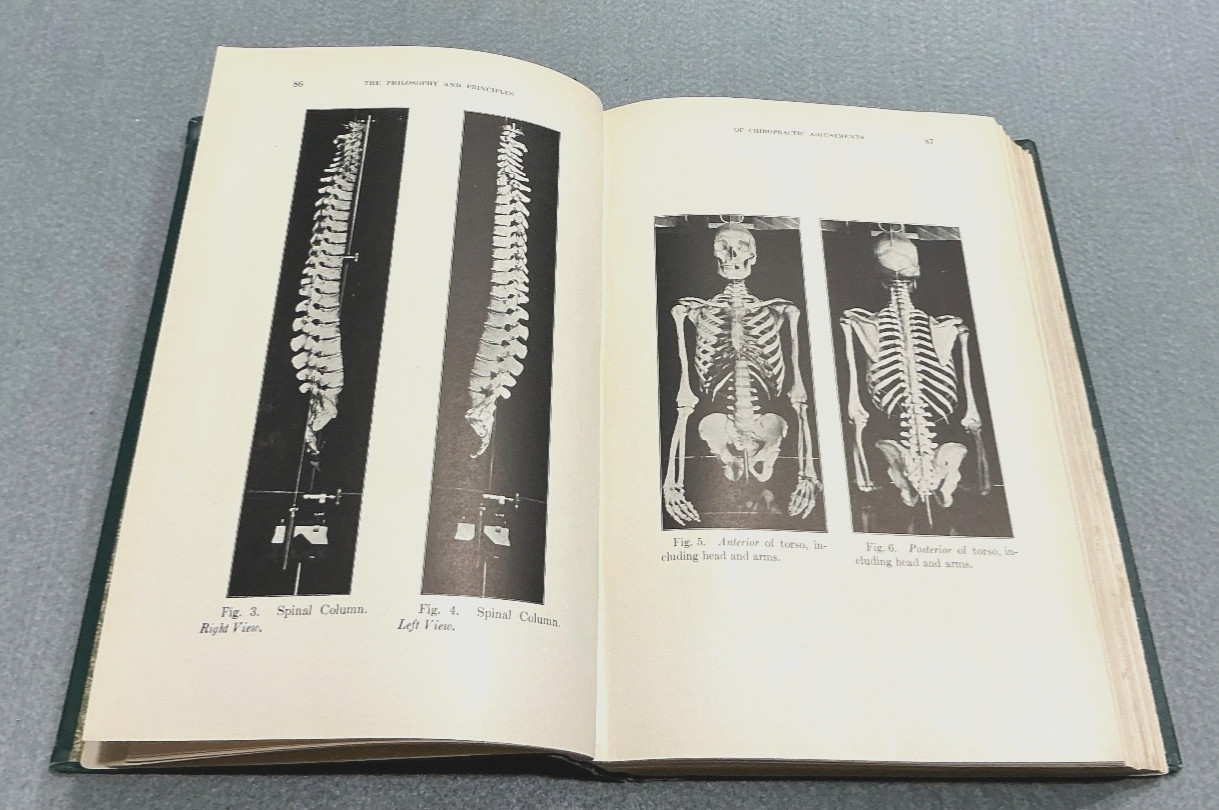 OLD PALMER CHIROPRACTOR BOOK CHIROPRATIC ADJUSTMENTS PHILOSOPHY PRINCIPLES 1911
