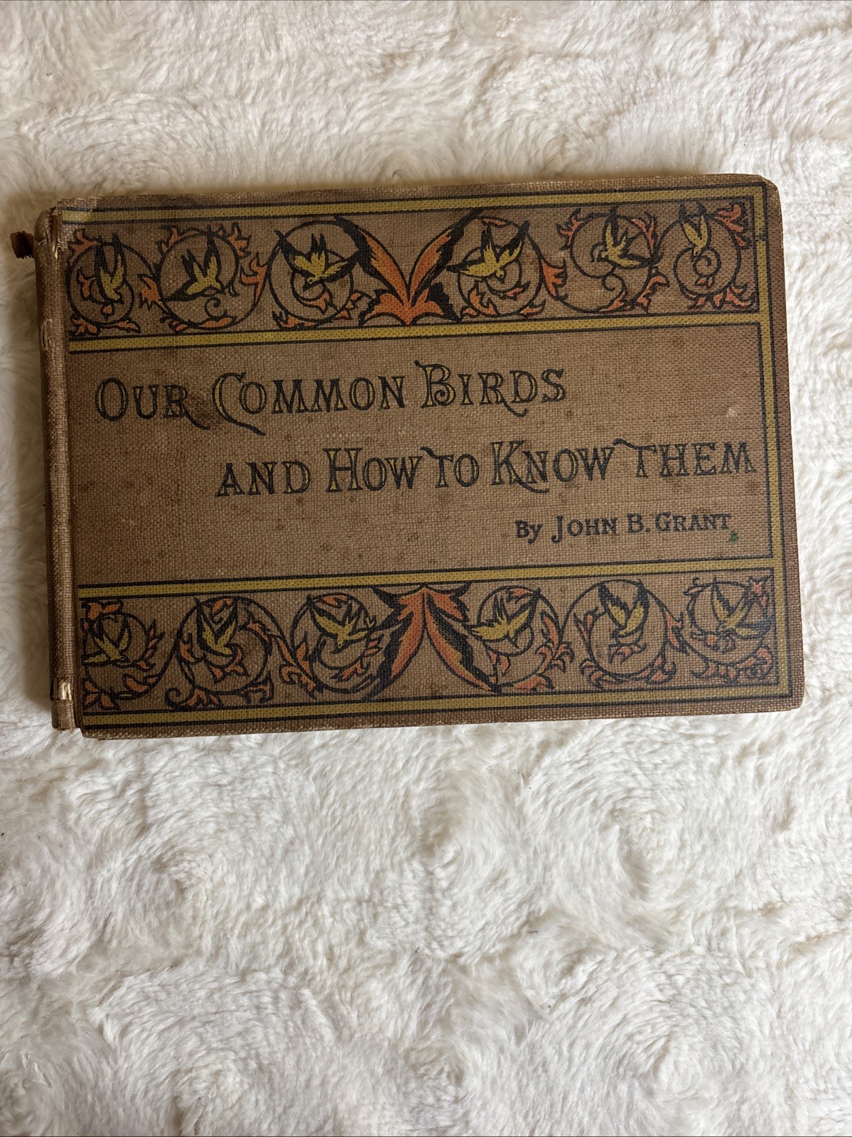 Antique Our Common Bird How to Know Them John B Grant 1891 – 64 Plates -1st Ed