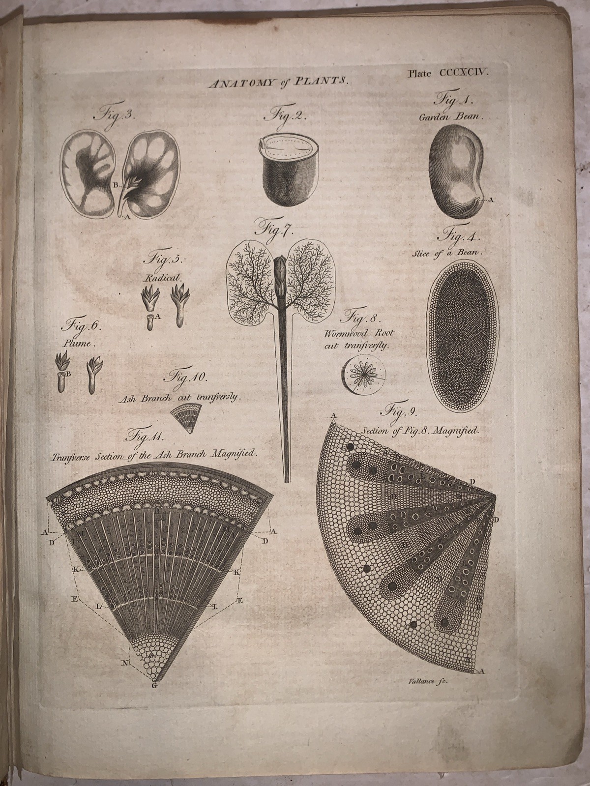 1798, 1st, ENCYCLOPAEDIA, DICTIONARY OF ARTS, SCIENCES, LITERATURE, ILLUSTRATED
